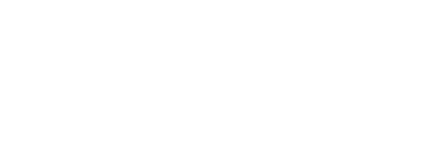 Hemissul Proteção Veicular